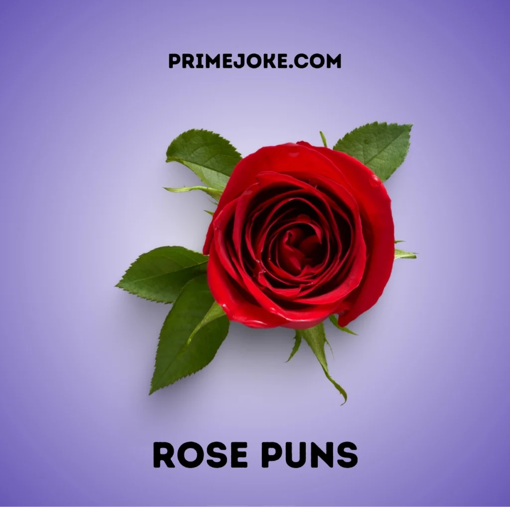 Rose Puns