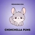 Chinchilla Puns