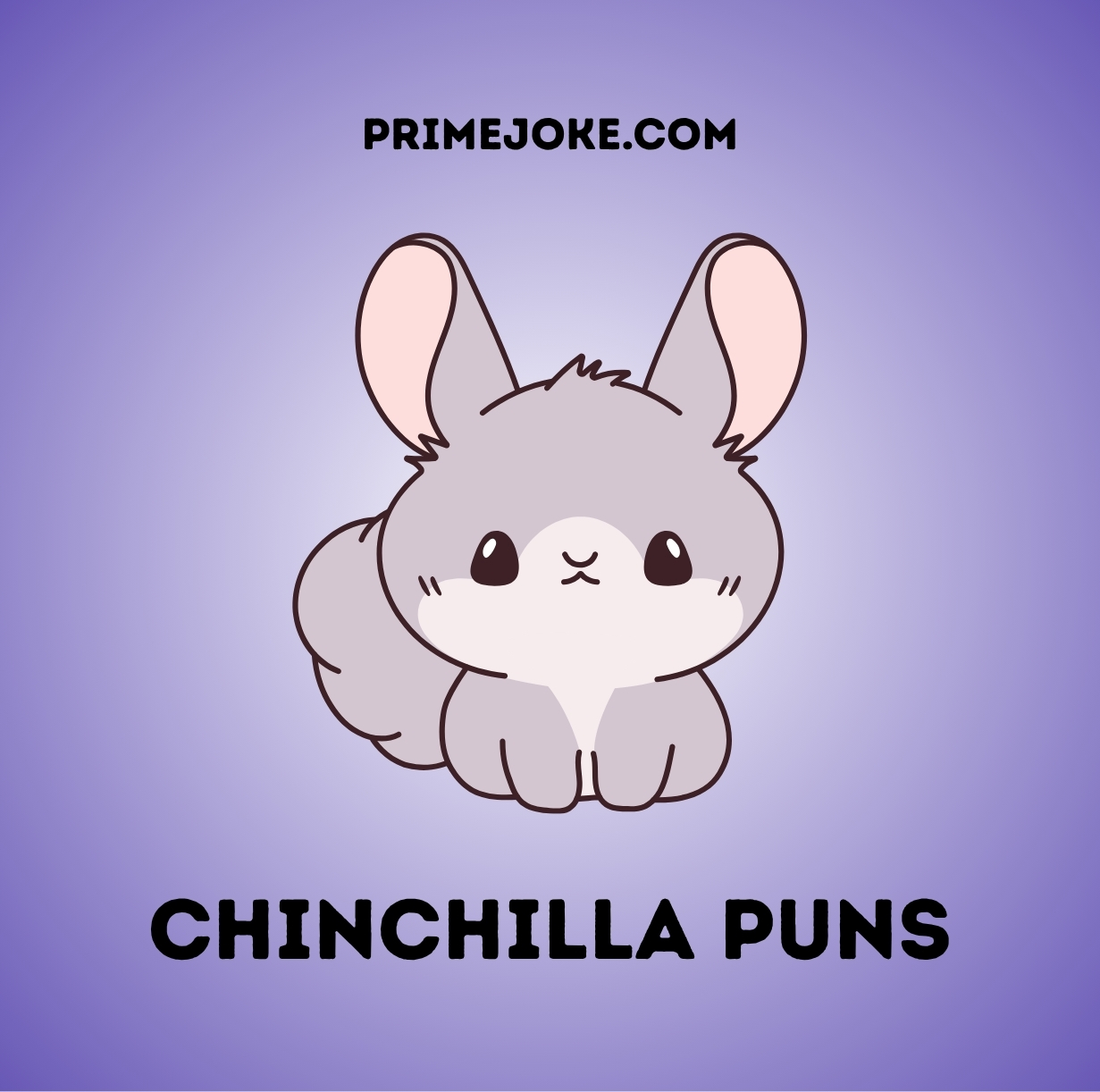 Chinchilla Puns