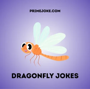 Dragonfly jokes