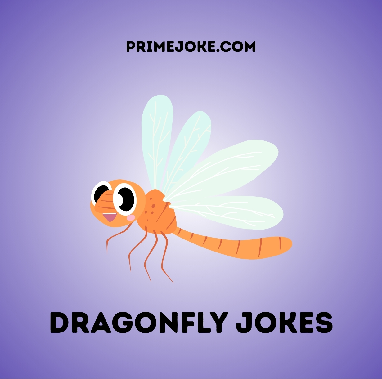 Dragonfly jokes
