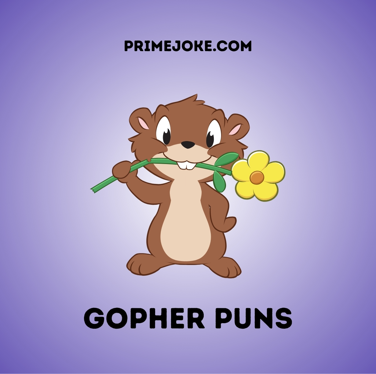 Gopher puns