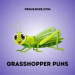 Grasshopper puns