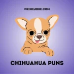 Chihuahua puns