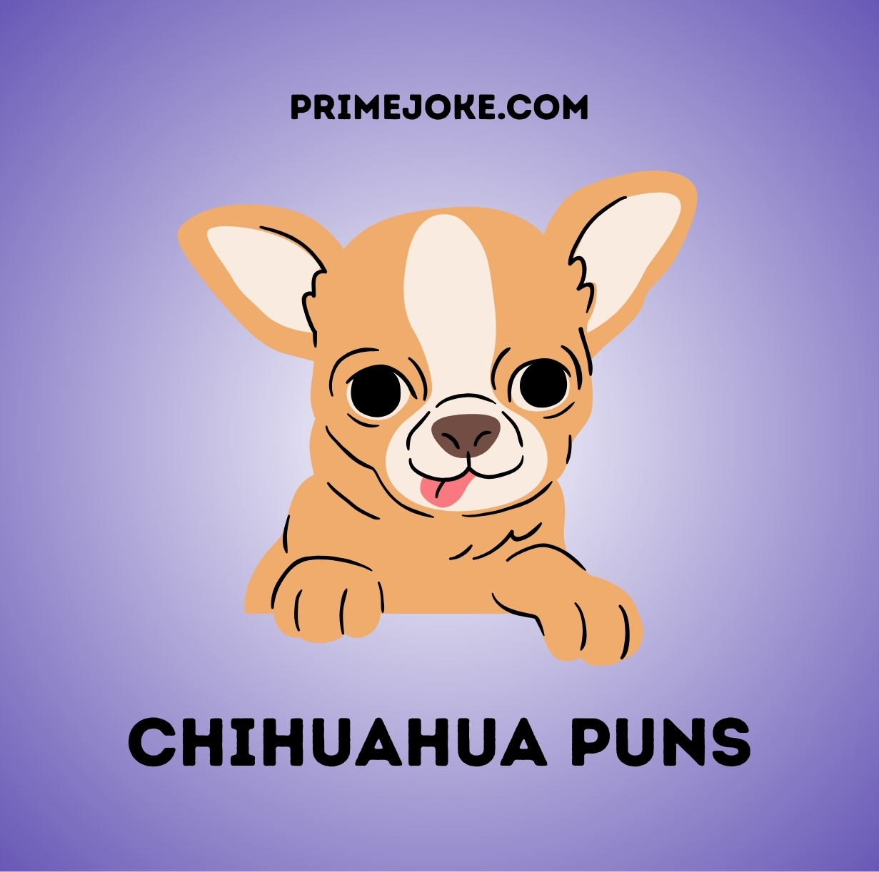 Chihuahua puns