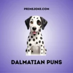 Dalmatian puns