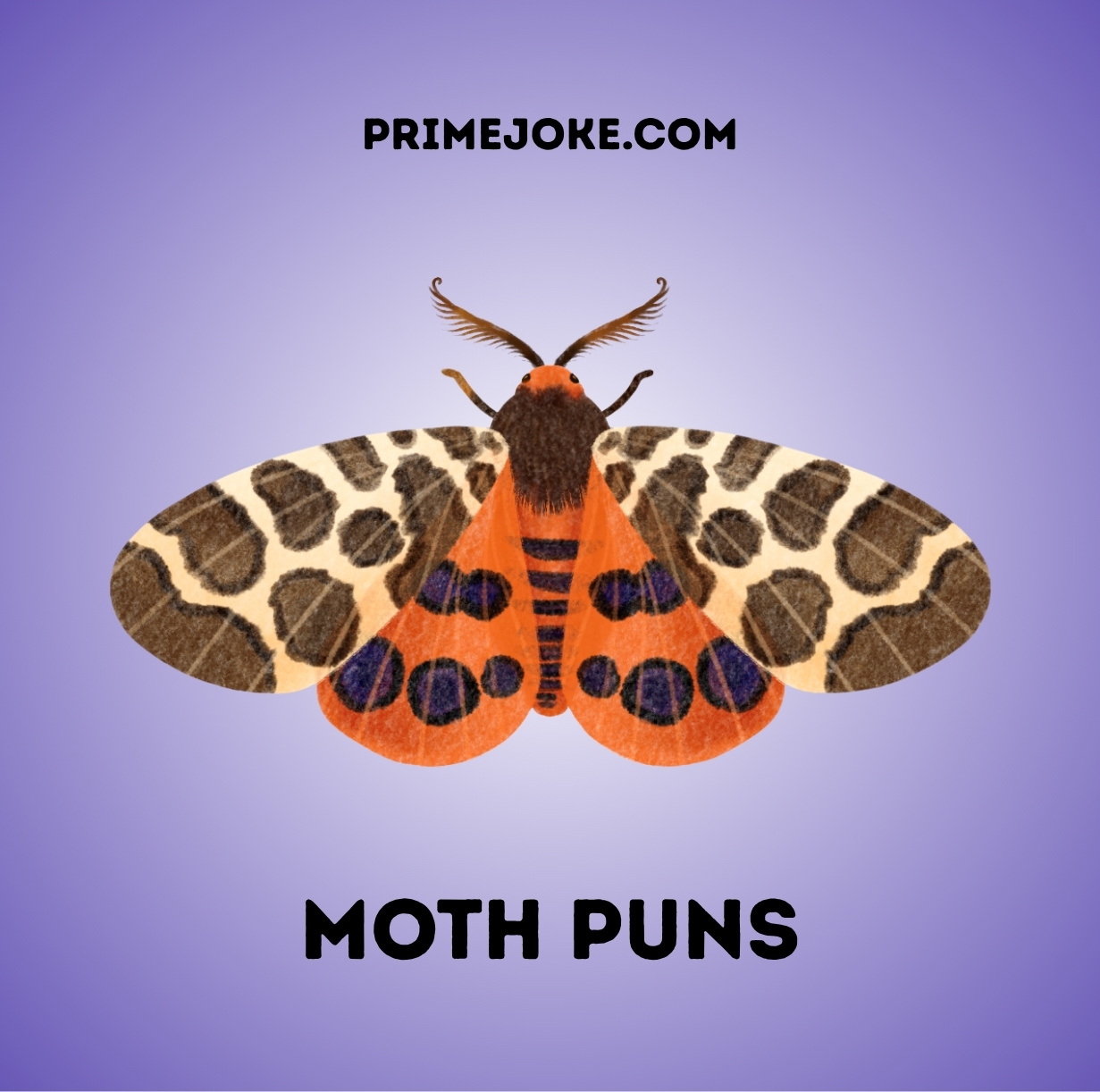 Moth Puns