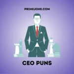 CEO Puns
