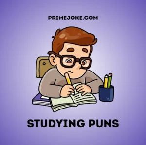 Studying Puns
