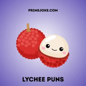 Lychee Puns